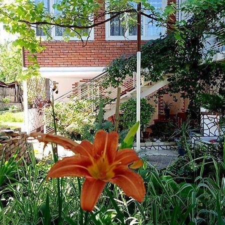 Guest House Meri Poppins Dedoplis Tskaro Екстер'єр фото