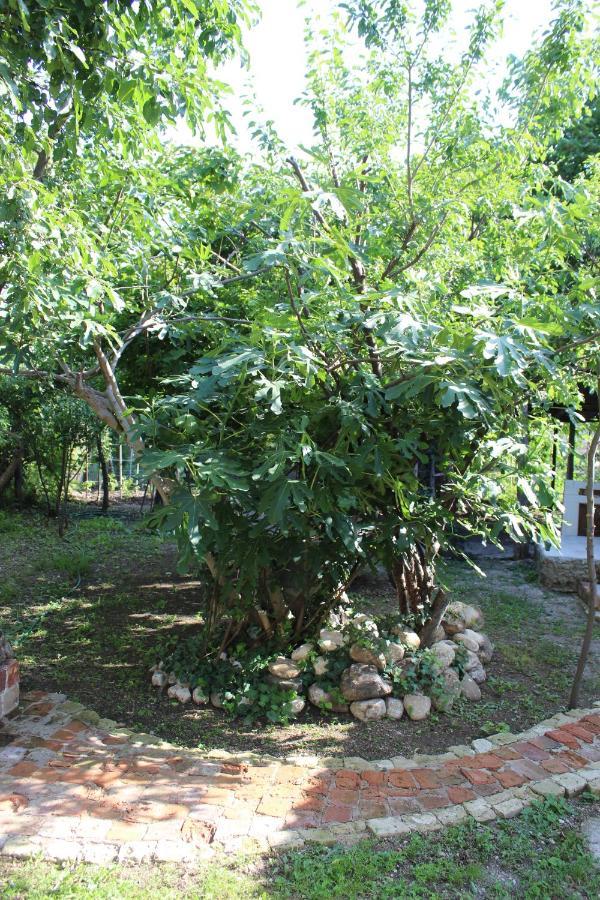 Guest House Meri Poppins Dedoplis Tskaro Екстер'єр фото