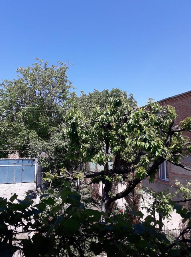 Guest House Meri Poppins Dedoplis Tskaro Екстер'єр фото