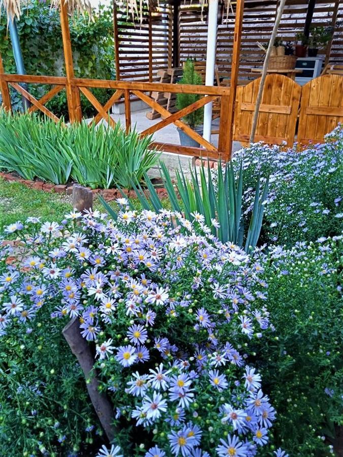 Guest House Meri Poppins Dedoplis Tskaro Екстер'єр фото