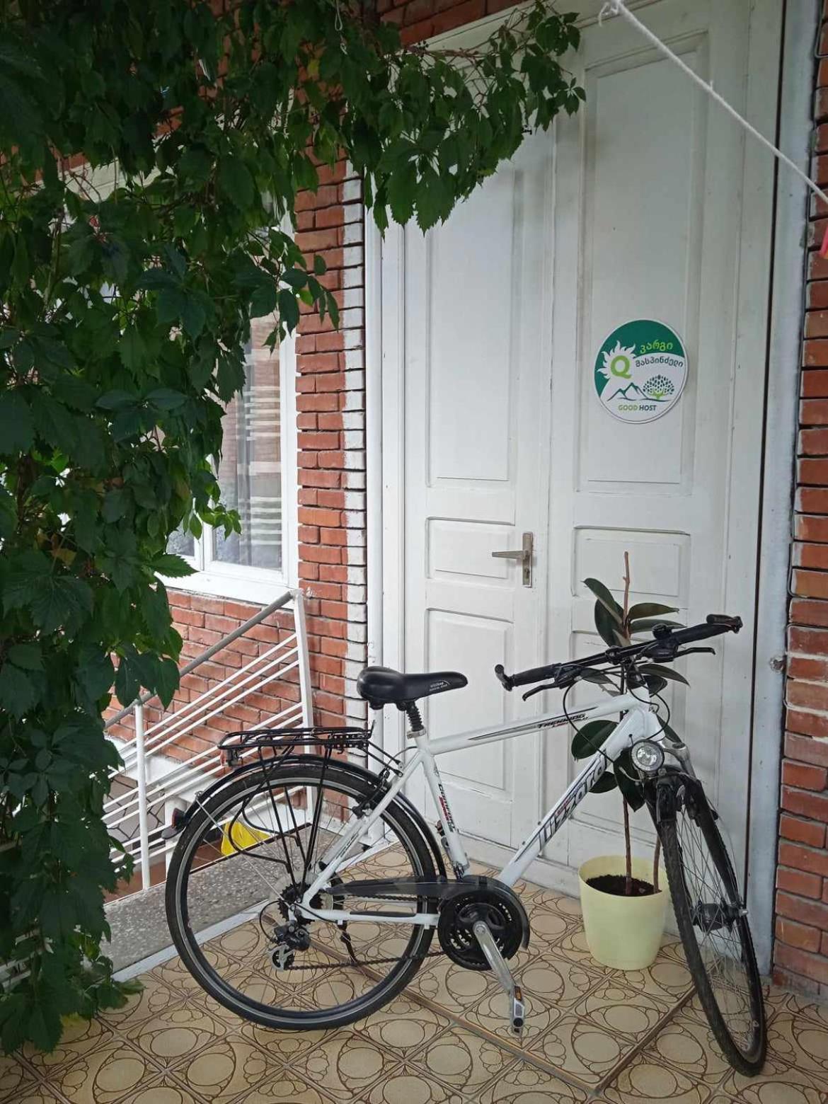 Guest House Meri Poppins Dedoplis Tskaro Екстер'єр фото